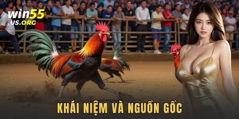 Khái niệm và nguồn gốc