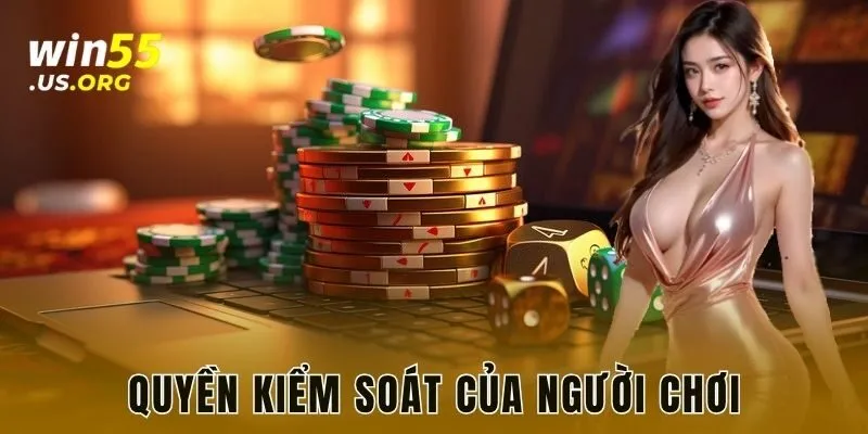 Quyền kiểm soát của người chơi